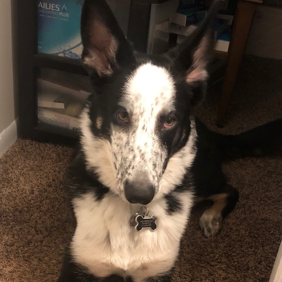 Meet your Posher, Jason - Picture 1 of 1